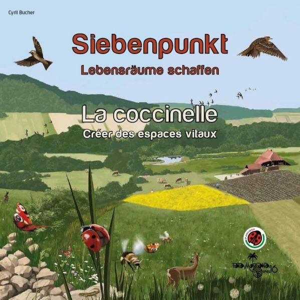 Spiel 1206.0